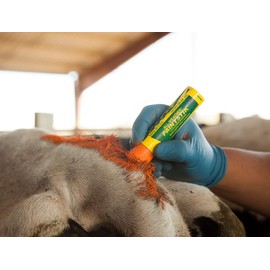 LACO All Weather Multi-Purpose Marker, "All Weather Paintste 61022