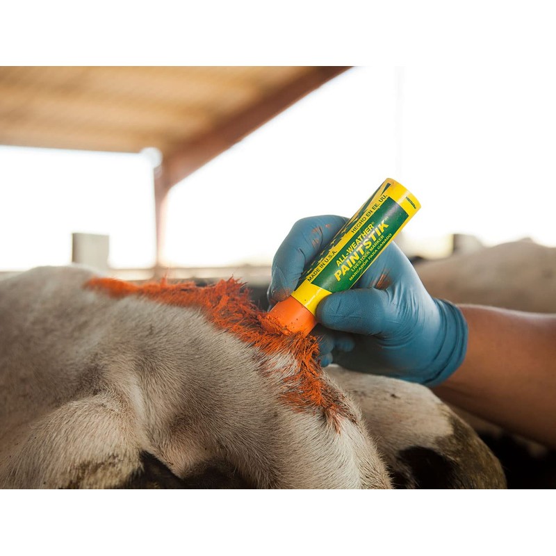 LACO All Weather Multi-Purpose Marker, "All Weather Paintste 61022