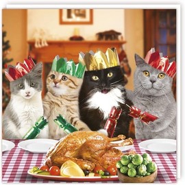 Tracks Publishing General Funny Christmas Card - Male/Female - Cats Christmas Dinner Charity Card - Eco-Friendly and Recyclable