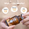 ascorbic acid glutathione baking A Guide to Reducing Agents in Dough | Blog