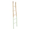 Creative Co-Op Dipped Decorative Wood Ladder, Bright Green