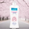 Hand/Anne/Nail/Lotion/450ml/1Pc