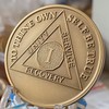 RecoveryChip 1 Year AA Medallion Large 1.5 Inch Heavy Premium