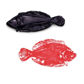 Nasco 9714343 Gyotaku Fish, Replica Rubber Stamp, Flounder, 13-1/2 in. L x 6-1/2 in. W