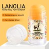 2Pack Lanolin Intensive Hand & Foot Cream Stick for Dry
