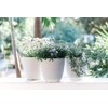 7'' Self Watering planters for Indoor Plants - Flower Pot