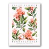 Mountain Laurel, Pennsylvania State Flower, Poster Print, Wall Décor, Multiple