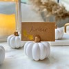 Kate Aspen White Pumpkin Place Card Holders - Set of