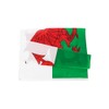 ANJOR Wales Flag 3x5Fts - Welsh Flags With Brass Grommets
