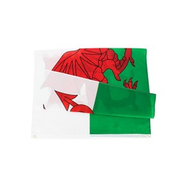 ANJOR Wales Flag 3x5Fts - Welsh Flags With Brass Grommets 3 X 5 Ft