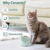 AIMALL Ergonomic Ceramic Cat Bowl - Elevated Cat and Dog