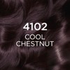 L’Oréal Paris Casting Crème Gloss Semi-Permanent Dye, 4102 Cool Chestnut