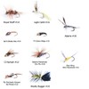 MAXIMUMCATCH Fly Fishing Pack of 10 Flies with Fly Box