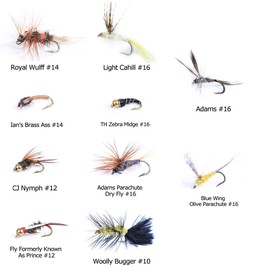 MAXIMUMCATCH Fly Fishing Pack of 10 Flies with Fly Box Wet and Dry Flies, Nymphs Streamer Artificial Bait Flies NDS B Box