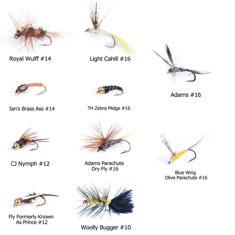 MAXIMUMCATCH Fly Fishing Pack of 10 Flies with Fly Box