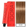 Tinte Para Cabello En Crema Igora Royal Profesional 60g 8-00