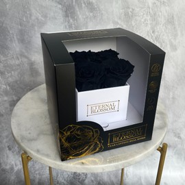 Eternal Blossom 4 Piece Preserved Real Infinity Rose Box | Lasts Over A Year | White Box | With Gift Box (Midnight Black)
