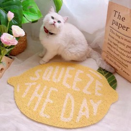 Cat Litter Mat Litter Trapping Mat, Cat Litter Box Mat Lexible Fruit Shape, Skid Resistance, High Toughness PVC - Easy to Clean, Decorative Cat Food Catching Mat - 40x60cm / 15.7x23.6in