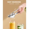 Brigii Lemon Squeezer Juicer for Lime and Lemon, Heavy-Duty 304
