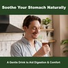 TerraPick Korean Cabbage Juice – Gut Health & Digestion Support,