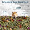Sukh 150G Hamster Bedding - Flowers & Herbs Odor Control