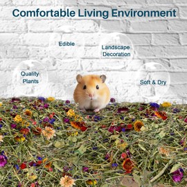 Sukh 150G Hamster Bedding - Flowers & Herbs Odor Control Dwarf Gerbil Robo Katy Habitat Decor Hamster Forage Gerbils Mice Lemmings Degus or Other Small-Sized Pets