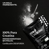 B-FIT Just Creatine Creapure - Creatina Monohidratada Pura