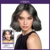 L'Oréal Paris [L'Oréal] Excellence Ash Supreme Hair Dye - Choose