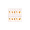(10 sheets) Foodaholic Nature Skin Royal Jelly Mask Pack /