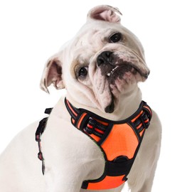 Eagloo Dog Harness for Medium Dogs, Anti-Pull Dog Harness with Reflective Strips and Control, Adjustable and Durable Dog Chest Harness, Suitable for Walking and Jogging, Orange, M