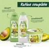 Fructis - Champú Garnier Hair Food Aguacate 300 ml
