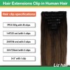 LIZ Hair Clip in Hair Extensions, 22 Inch 120g 7pcs