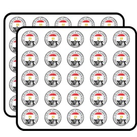 Cairo Egypt Flag Grunge Stamp Art Decor Sticker for Scrapbooking, Calendars, Arts, Kids DIY Crafts, Album, Bullet Journals 50 Pack