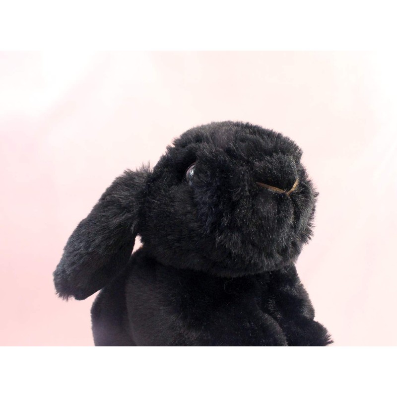 テイクオフ うさぎのマロン ホーランドロップ ブラック