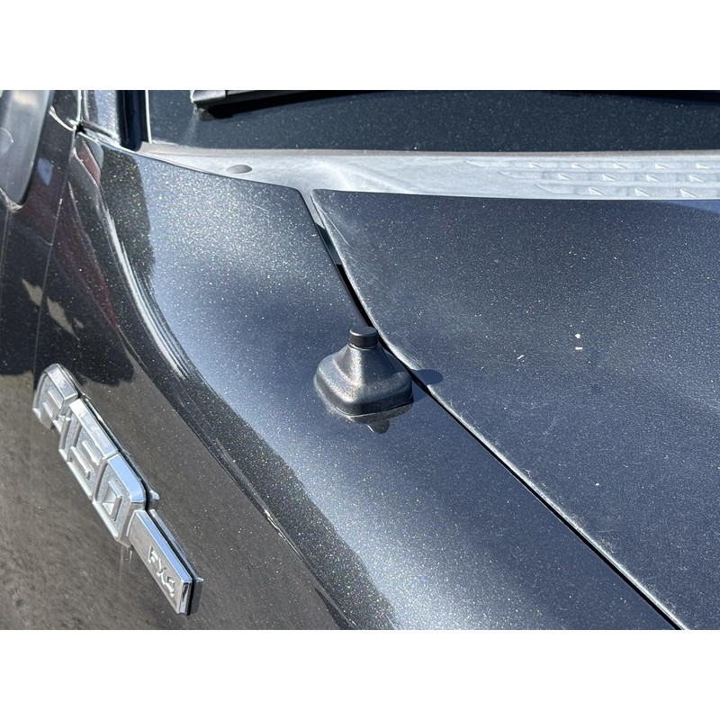 CravenSpeed Untenna Compatible with Ford F-150 (2009-2026), F-150 Raptor/SVT Raptor