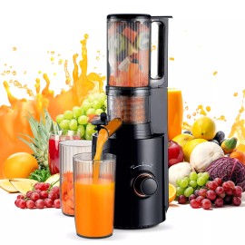 Sovider Compact Slow Juicer Machine Electric Juicer Cold Press Squeezer Vegetable 800ML