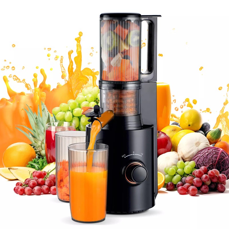 Sovider Compact Slow Juicer Machine Electric Juicer Cold Press Squeezer