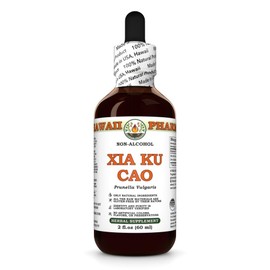 Xia Ku Cao (Prunella Vulgaris) Dry Spike Glycerite, Made in Hawaii, All Natural, Vegan, Lab Tested Alcohol-Free Liquid Extract - 2 fl.oz