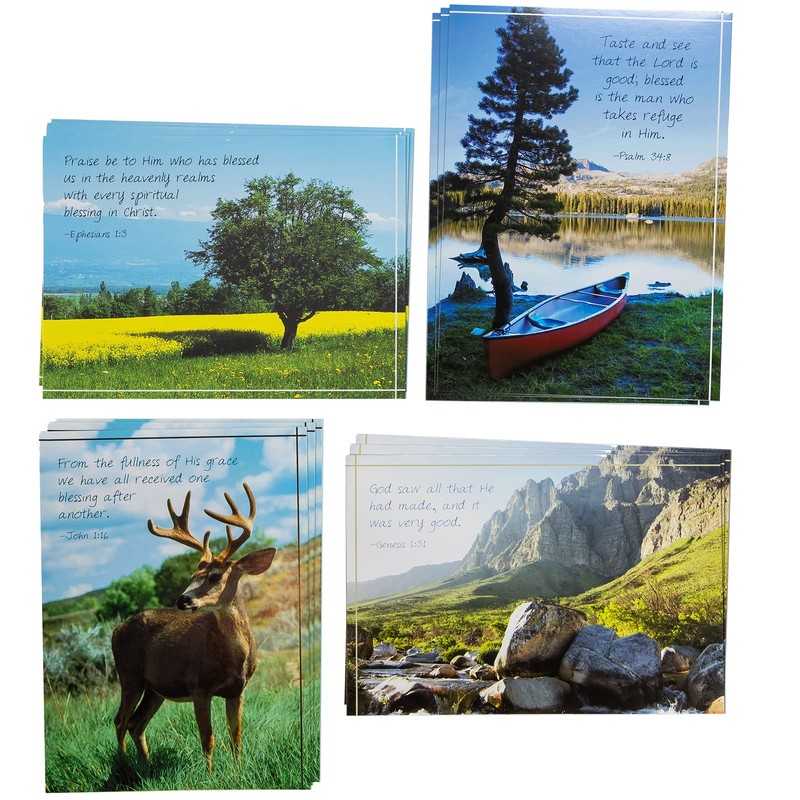 Divinity Boutique Assorted Birthday Cards for Him - 4 Design