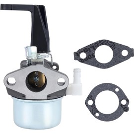 Caalii 696065 Vergaser Ersatz 215369 697422 für Brigs and Straton 110402 110412 6HP 6,5HP 5HP 5,5HP 7HP Generator Intek Motor Pinne Wasserpumpe Vergaser mit Befestigungsdichtungen