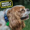 Ancol Pet Soft Blinker in Green - Water Resistant Reflective