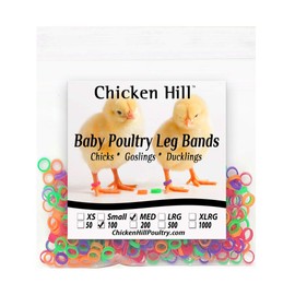 Baby Poultry Leg Bands 1/4" Medium Chick (100)