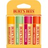 Burt's Bees Kit Freshly Picked Lip Balm 4 unidades