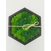 LoveLasy Bicolour Moss Wall Picture Hexagon for Home and Office