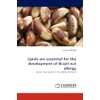 Lipids are essential for the development of Brazil nut allergy: