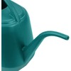 Fasmov Plastic Watering Can, 1-Gallon, Green