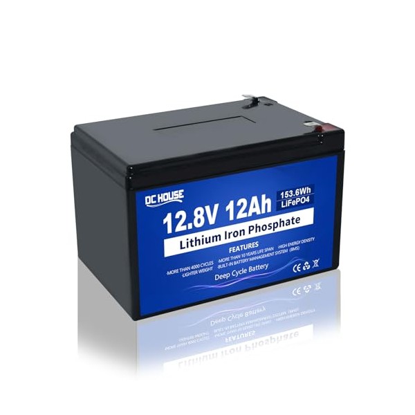 DCHOUSE DCHOUSE 12V 12Ah LifePo4 Battery Deep Cycles with 15A