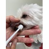 Mindup Dog Toothbrush, Cylinder Head, 360 Degree Brush, No Angle