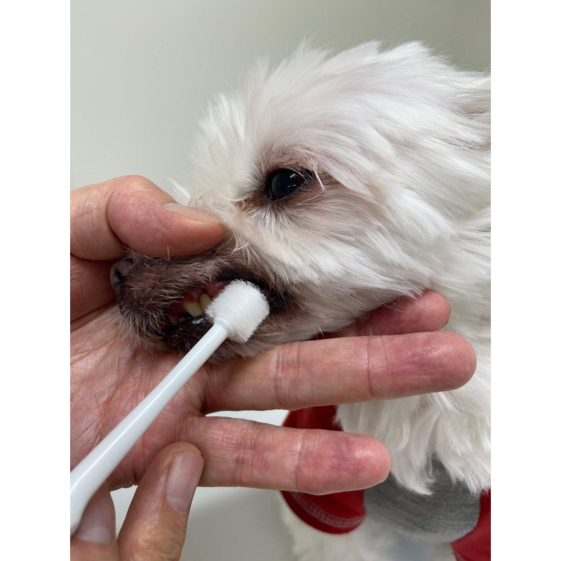 Mindup Dog Toothbrush, Cylinder Head, 360 Degree Brush, No Angle