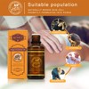 Lymphatic Drainage Ginger Oil, Ginger Essential Oil Massage Oil Body